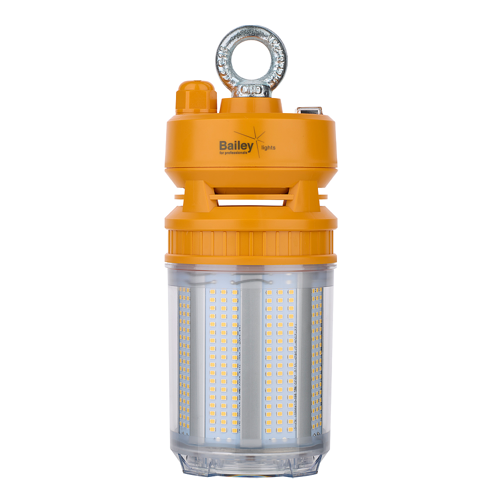 RoBust LED Corn Ballon 250W Switch IP65